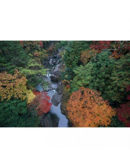 Objectif Sony FE 16-35mm F2.8 GM - Zoom grand angle professionnel