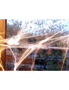 Fausse Toile d'Araignée Ignifugée 9m 2