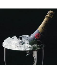 Faux Glacons 2.7CM3 (10pc) 2