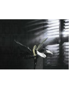 Fumée Légére Effet Brouillard en Aerosol 400 ml 2