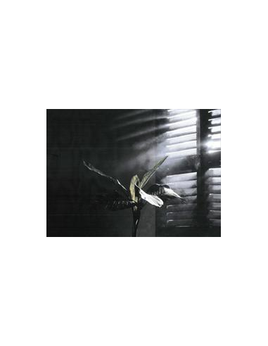 Fumée Légére Effet Brouillard en Aerosol 400 ml