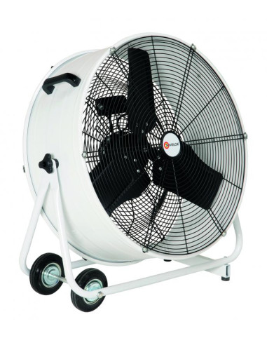 Ventilateur Mobile Orientable Diamètre 60 Cm