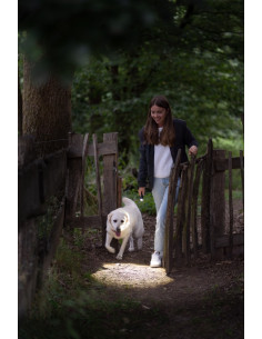 LEDLENSER - P5R CORE - Flashlight - rechargeable - 500 lumen - IP68 - focus - Sécurité 2