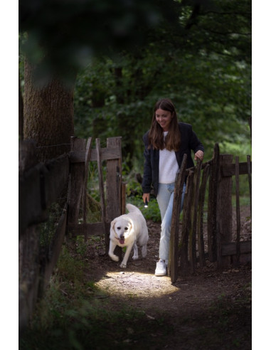 LEDLENSER - P5R CORE - Lampe de poche - rechargeable - 500 lumen - IP68 - focus - Sécurité