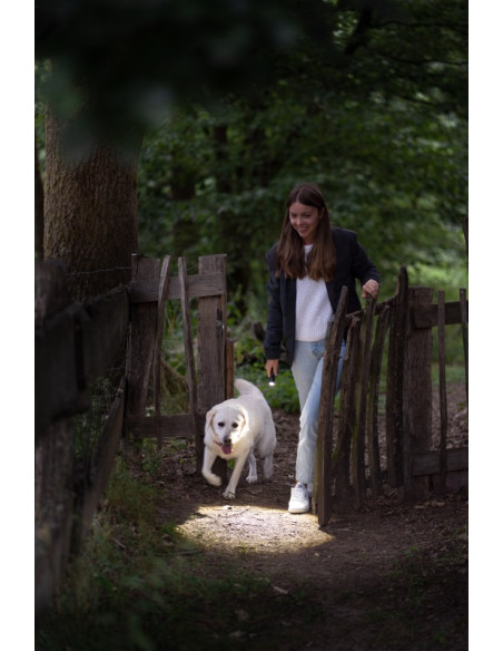 LEDLENSER - P5R CORE - Flashlight - rechargeable - 500 lumen - IP68 - focus - Sécurité