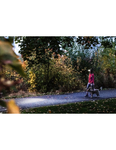 Ledlenser HF4R – 500 lumens – IP68 - Sécurité - Produits techniques