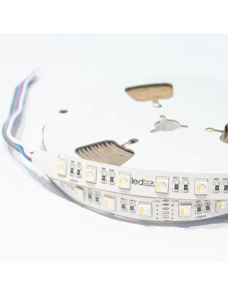 LEDBOX - LEDBOX - RGBW led ribbon - 4000K - 60 led/m - 19,2 W/m - Lamps, Lighting