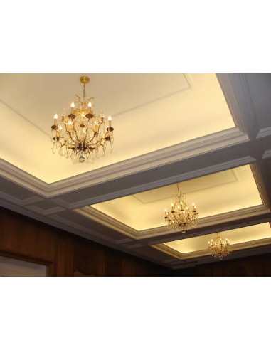 LEDBOX - Ruban de led blanc chaud - 3000 K - 120 led/m - 16 W/m - Lampes et éclairage