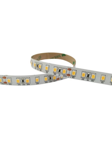 LEDBOX - Ruban de led blanc Froid - 5500 K - 120 led/m - 16 W/m - Lampes et éclairage