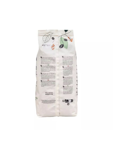 Cafe grain fountain by segafredo 1 kg (140 coffees/1 kg) - Consommable Régie - Regie