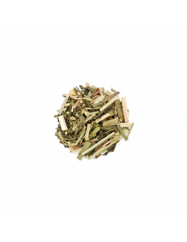 Green tea, lemongrass, ginger, lemon peel - Rehab Bio - (20 individual sachets)