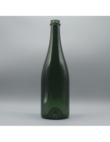 Bouteille de champagne cassable (verte) - SFX - Consommables