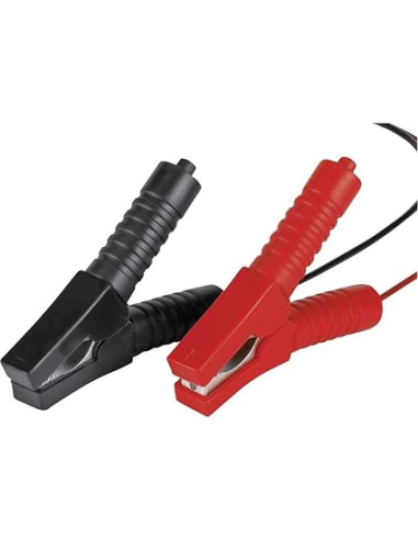 Truck/car battery charger - Location Regie