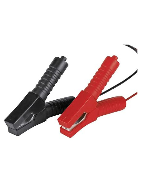 Truck/car battery charger - Location Regie