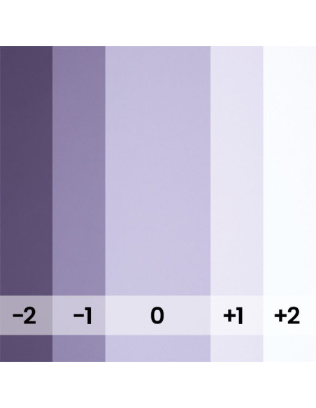 BD Paper Background Roll 1.36 x 11 m – Multiple Colors