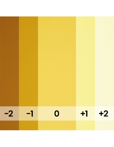 BD Paper Background Roll 1.36 x 11 m – Multiple Colors