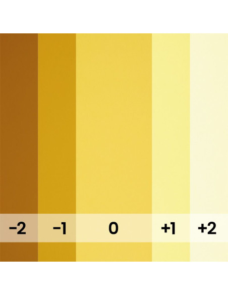 BD Paper Background Roll 1.36 x 11 m – Multiple Colors