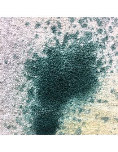 Dirty Down Mold Spray 400 ml – professional special effects aging paint