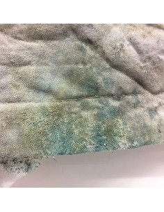 Spray Dirty Down Moisissures 400 ml – effet moisi professionnel pour cinéma et théâtre 2