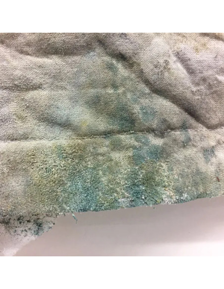 Dirty Down Mold Spray 400 ml – professional special effects aging paint