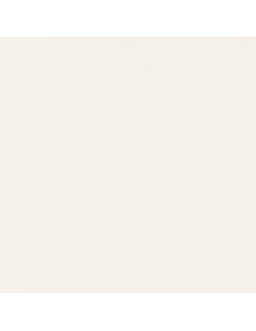 Magic Cloth The Rag Place (1 mL)