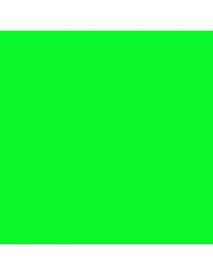 Acrylic paint 0,9kg-green key 2