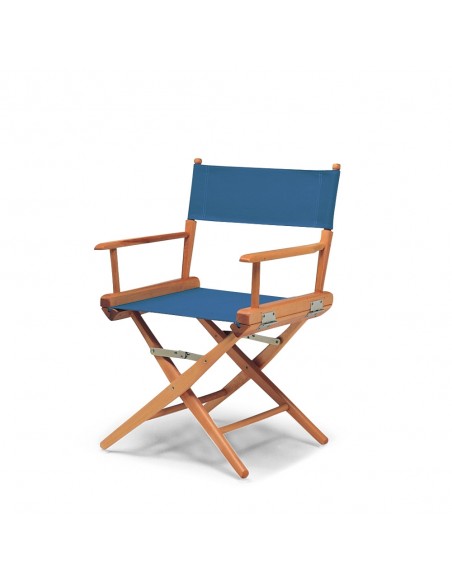Director's chair
