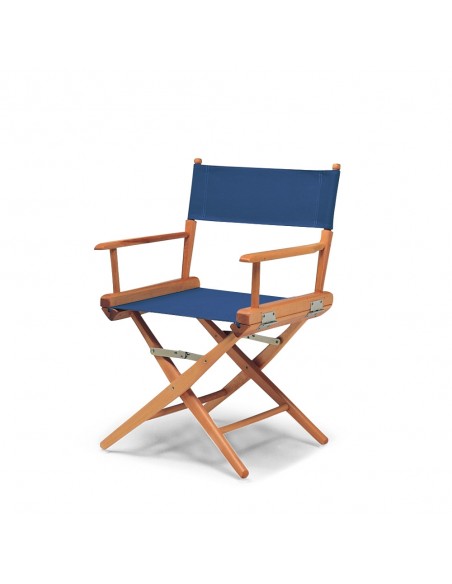 Director's chair