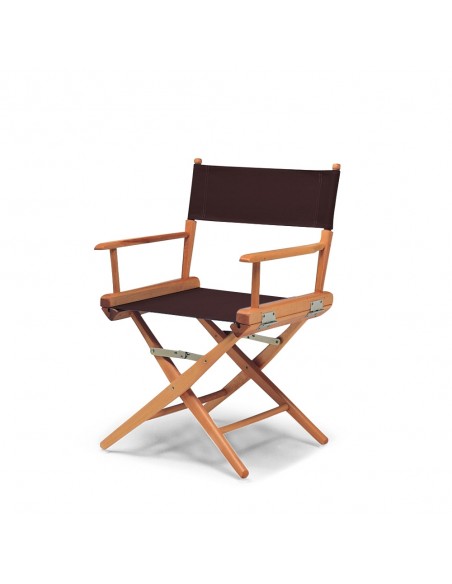 Director's chair