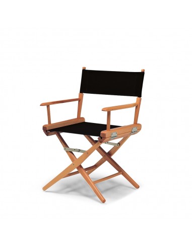 Director's chair