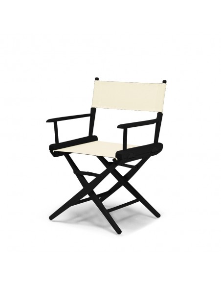 Director's chair