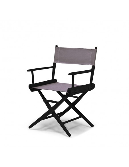 Director's chair