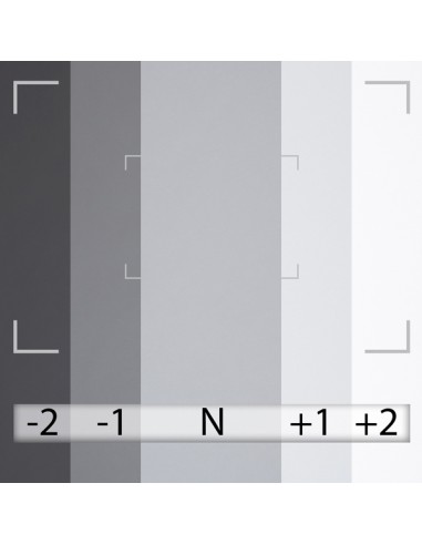 FOND PAPIER BD 2.72 x 11m