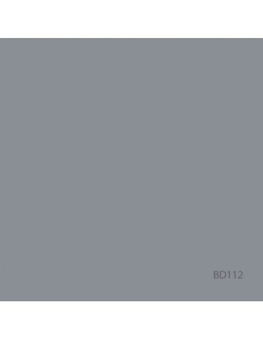 FOND PAPIER BD 2.72 x 11m